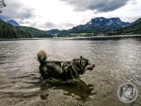 15IMG_20240516_112532-Kopie