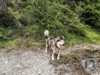 16IMG_20240516_112635_1-Kopie