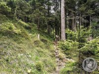 18IMG_20240516_112725-Kopie