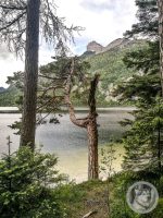 20IMG_20240516_112946-Kopie