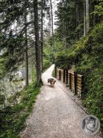 21IMG_20240516_113936-Kopie