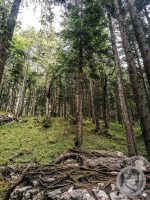 26IMG_20240516_115012-Kopie