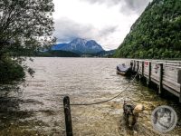 27IMG_20240516_115611-Kopie