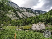 36IMG_20240516_123211-Kopie
