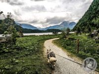 37IMG_20240516_123231-Kopie