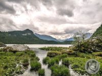 40IMG_20240516_123543-Kopie
