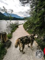 41IMG_20240516_124516-Kopie