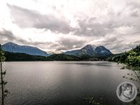 43IMG_20240516_124814-Kopie
