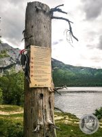 46IMG_20240516_125621-Kopie