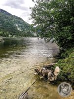 6IMG_20240516_104846-Kopie