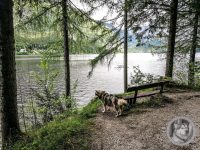 7IMG_20240516_105640-Kopie