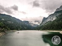6IMG_20240516_155945-Kopie