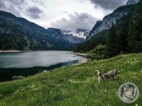 9IMG_20240516_160309-Kopie