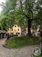 18IMG_20240516_144514-Kopie