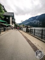 7IMG_20240516_141313-Kopie