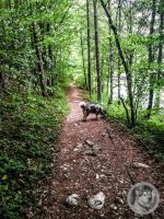 12IMG_20240517_141252-Kopie