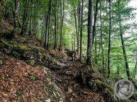 16IMG_20240517_142402-Kopie
