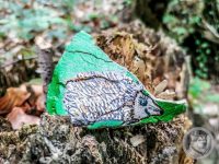 4IMG_20240517_140135-Kopie