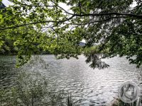 8IMG_20240517_140756-Kopie