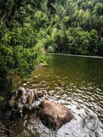 9IMG_20240517_140806-Kopie