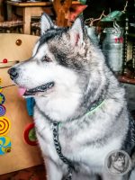 10IMG_20240517_110217-Kopie