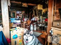 11IMG_20240517_110227-Kopie