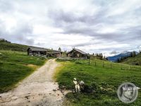 15IMG_20240517_112731-Kopie
