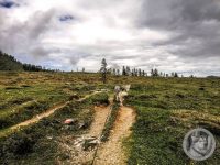 16IMG_20240517_113111-Kopie