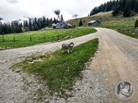 24IMG_20240517_115245-Kopie