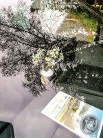 26IMG_20240517_121349-Kopie