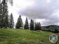 3IMG_20240517_101832-Kopie