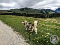6IMG_20240517_103116-Kopie