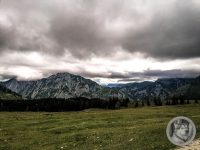 7IMG_20240517_103551-Kopie