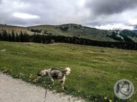 8IMG_20240517_103557-Kopie