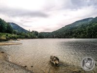 6IMG_20240515_165349-Kopie