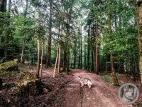3IMG_20240516_201541-Kopie