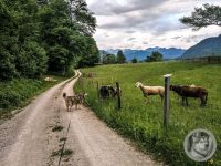 4IMG_20240515_194508-Kopie