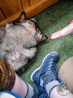 Watermark_21IMG_20250724_165151