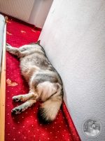 Watermark_23IMG_20250725_173930