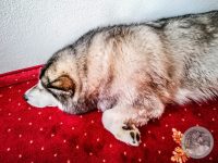 Watermark_2IMG_20250720_180127