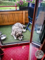 Watermark_3IMG_20250721_180736