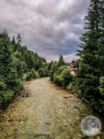 Watermark_6IMG_20250722_201703