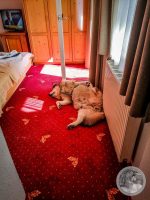 Watermark_8IMG_20250723_094518