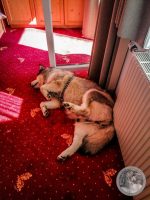 Watermark_9IMG_20250723_094523