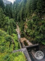 Watermark_1IMG_20250726_150428