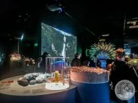 Watermark_3IMG_20250726_120528