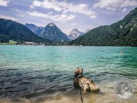 Watermark_10IMG_20250720_114208