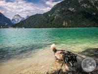 Watermark_2IMG_20250720_113110