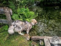 Watermark_5IMG_20250720_150130