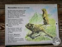 Watermark_19IMG_20250722_112332
